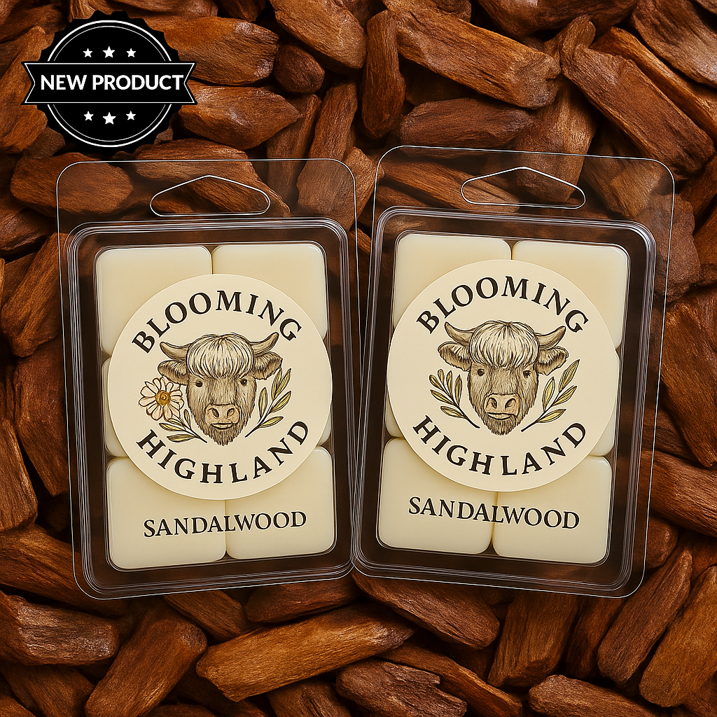 Sandalwood - 6 Cavity Shell