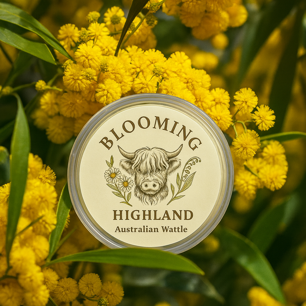Australian Wattle - Single shot pot