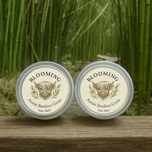 Aussie Bamboo Grass - Single Wax Pod