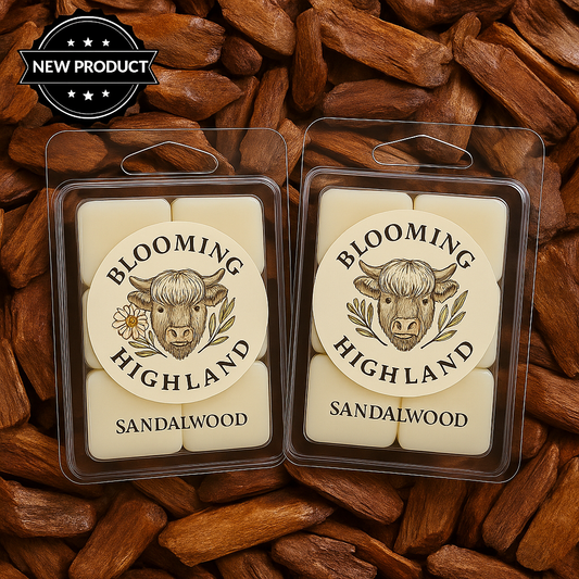 Sandalwood - 6 Cavity Shell