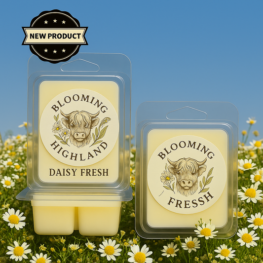 Daisy Fresh - 6 Cavity clam shell