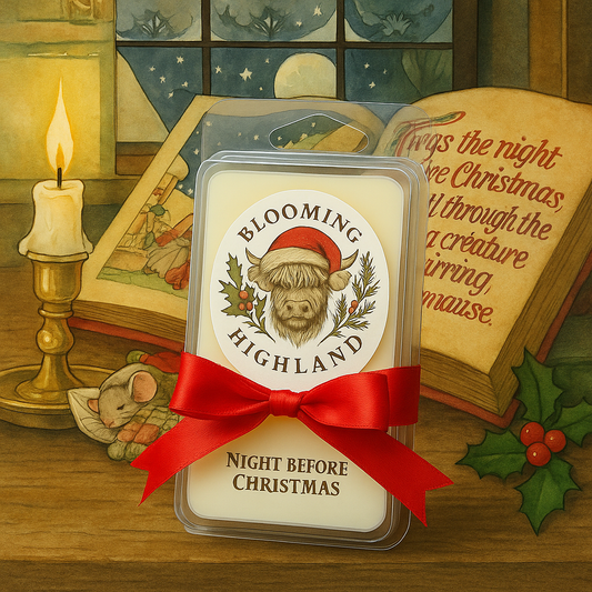 Night Before Christmas - 6 Cavity Shell