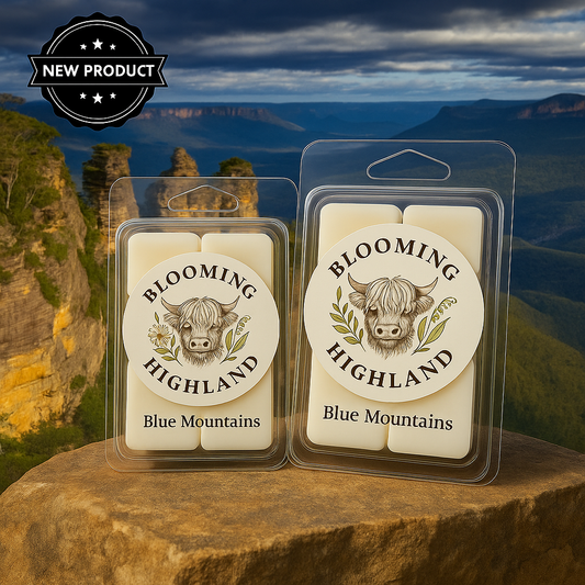 Blue Mountains - 6 Cavity Shell