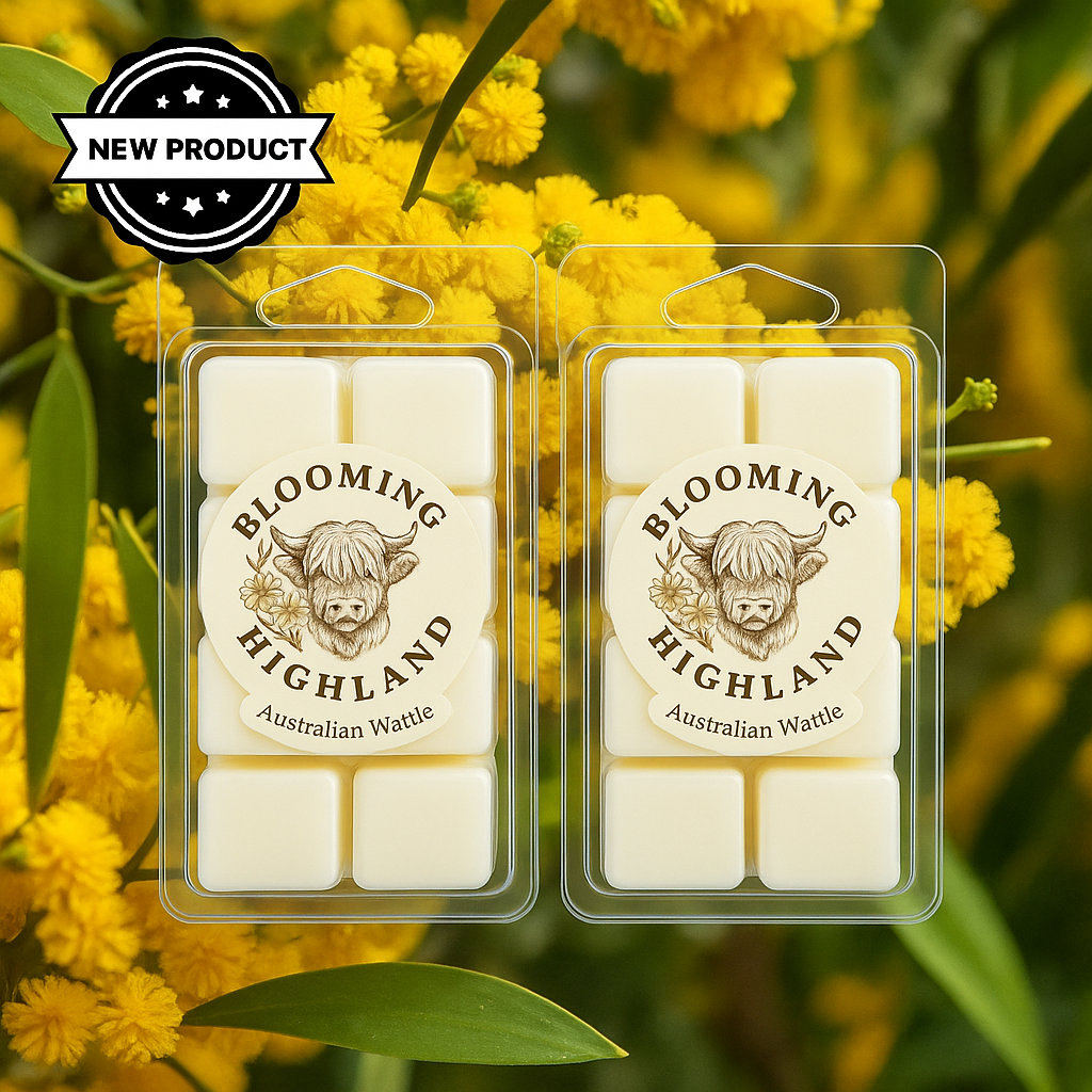 Australian Wattle -  6 Cavity Shell