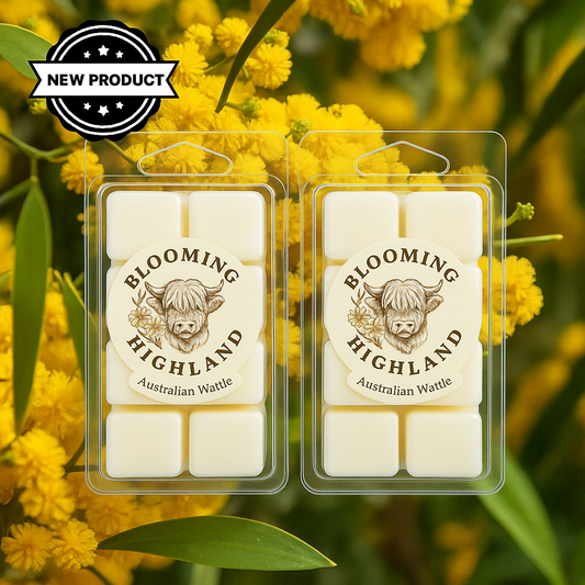 Australian Wattle -  6 Cavity Shell