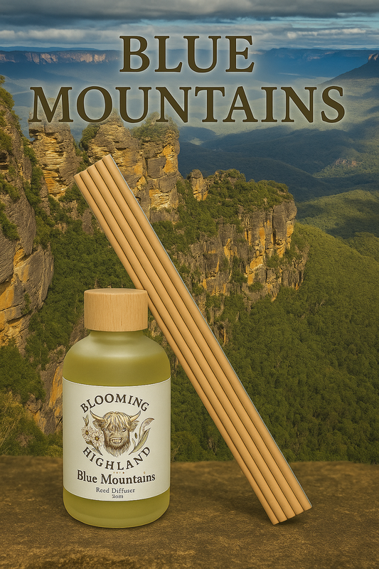 Blue Mountains - Natural kit